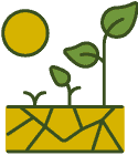 Icon-Wüstenbildung-Stoppen-Wüstenbildung-Pflanzen-in-der-Wüste